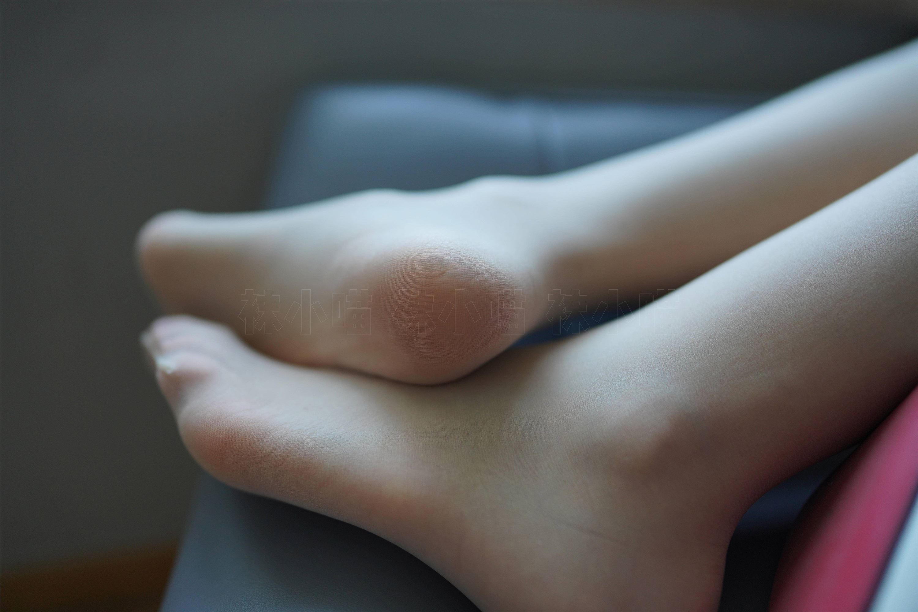 KittyWawa袜小喵  KT282 洁白无暇